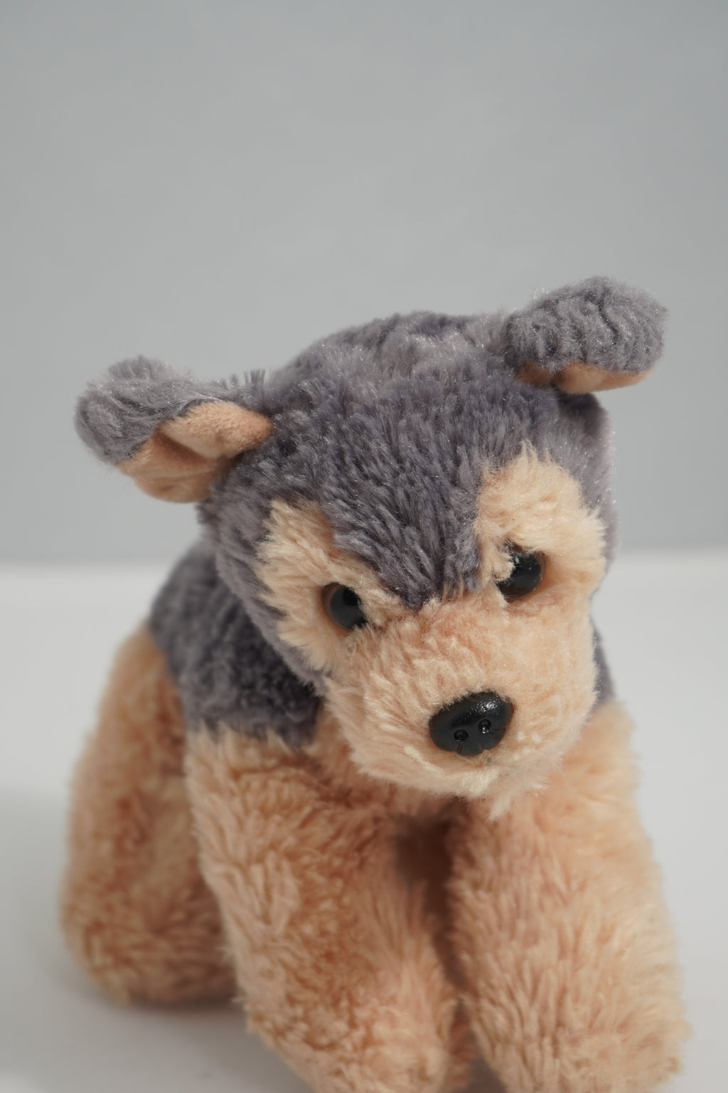 Milo | Pre-Loved Pocket-Sized Plush Dog