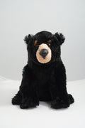 Raven | Secondhand Classic Black Teddy Bear