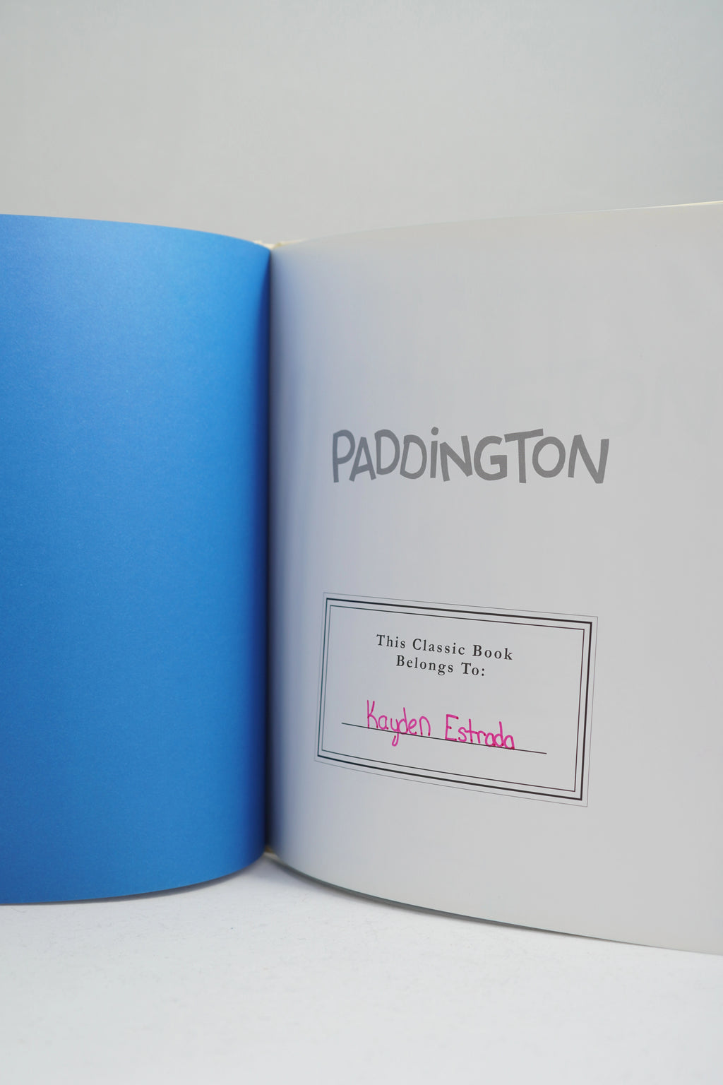Paddington Bear Classic Hardcover Book | Pre-Loved Early 2000s Edition