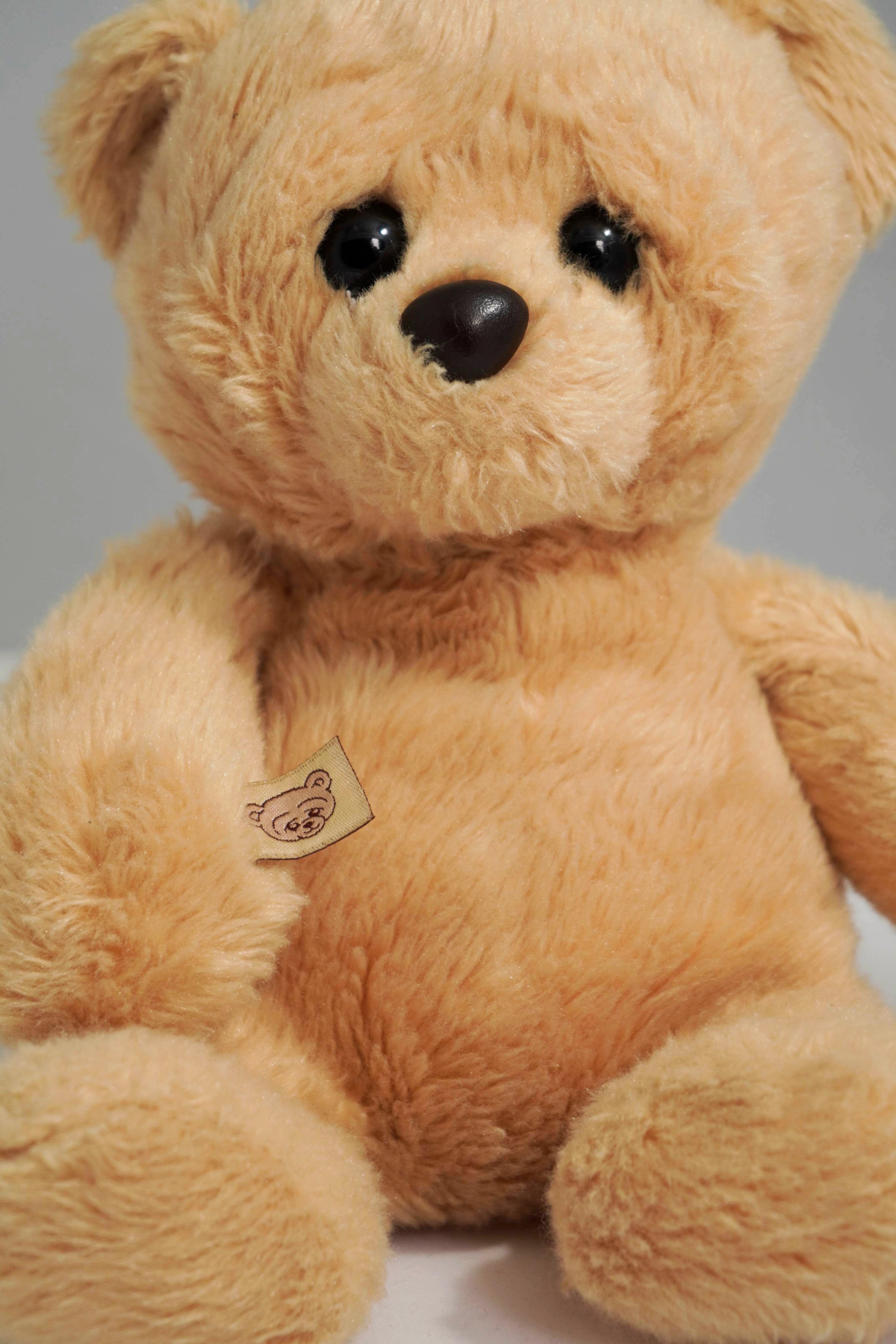 Lola Bear